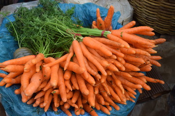 Bunch of carrots