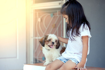 Cute asian little girl with her Shih Tzu dog in vintage color tone