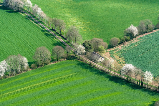 Vue a&eacute;rienne, d'arbres en fleur pr&egrave;s de Flers - 61