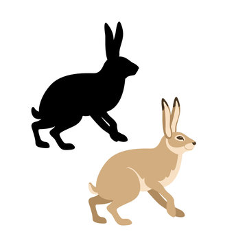 rabbit vector illustration style Flat silhouette black set