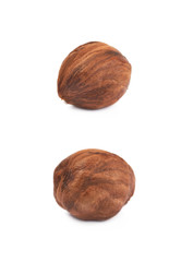 Single hazelnut isolated