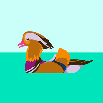 mandarin duck bird vector illustration style Flat 