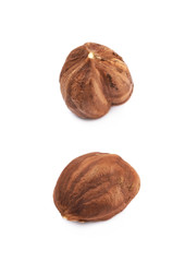 Single hazelnut isolated