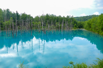 blue pond in Hokkaido , Japan