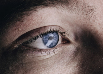 Naklejka premium Blue Eye Closeup