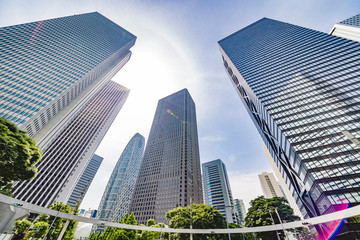 Fototapeta premium 新宿高層ビル群