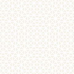 Geometric Ethnic Lattice. Stylish Subtle Texture. Vector Abstract Seamless Pattern.