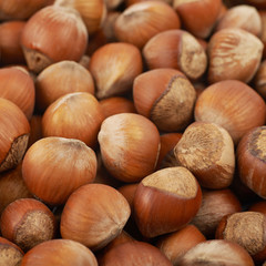 Surface coated with hazelnuts