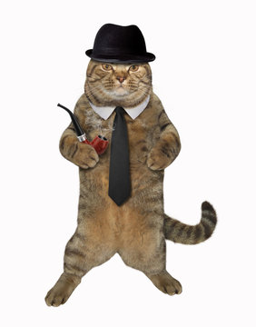 The Cat Dandy Is Holding A Pipe. White Background.