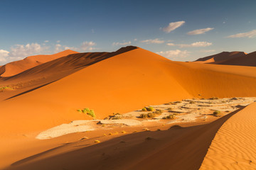 Fototapeta na wymiar Sossusvlei sand dune in the early morning light