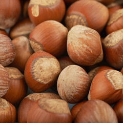 Surface coated with hazelnuts