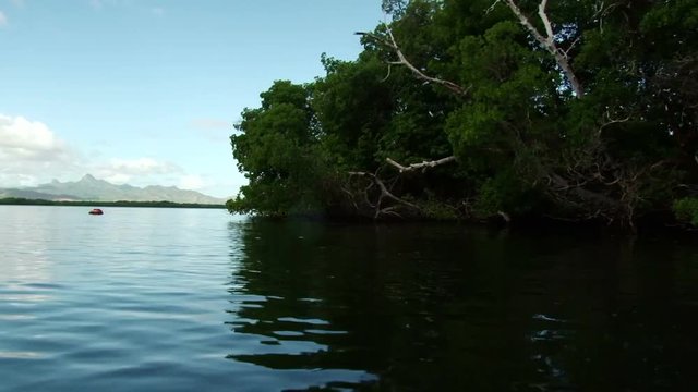 Sailing pass mangrove trees at Laguna de la Restinga towards Macanao Peninsula, Margarita Island, Venezuela