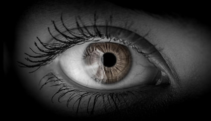 Naklejka premium Macro shot of female human eye in black and white toned.