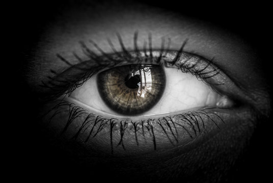 Macro shot of female human eye in black and white toned.