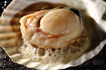 帆立貝の網焼き　Grilled scallops