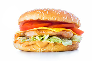 Closeup image of tasty cheeseburger at isolated white background.