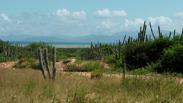 Landscape of Macanao Peninsula in Margarita Island, Venezuela. Taken on sunny windy day
