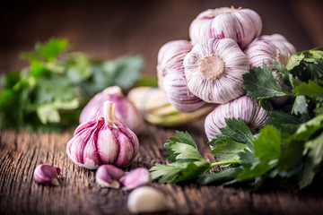 Garlic. Fresh garlic bulbs on old wooden board. Red violet garlic.