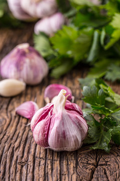 Garlic. Fresh garlic bulbs on old wooden board. Red violet garlic.