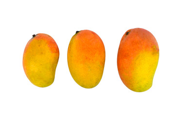 3 Colorful Mango on White Isolated Background 