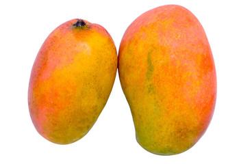 2 Colorful Mango on White Isolated Background Side View