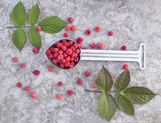 fruit raspberries in the metallic spoon