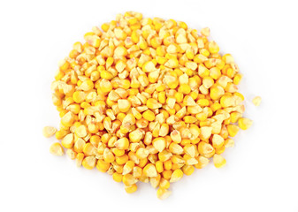 corn on white isolated background