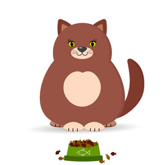 Brown cat and cat food.