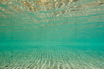 Shallow water background