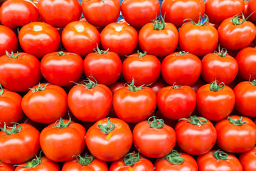 Tomatoes, background