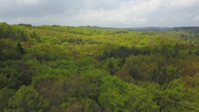 Stabilized aerial movement over deep woods. Drone flies over green forest on overcast day.