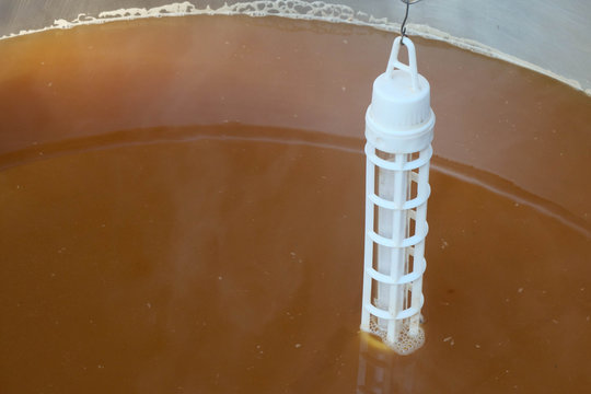 bollitura mosto per preparazione aceto balsamico