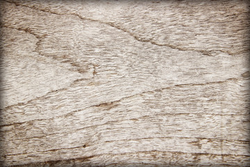 Wood background or texture; Old wood with natural pattern