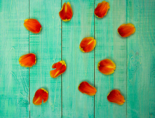 Fototapeta na wymiar Pink and red flower petals of the tulips lying on white background with copy space in the middle of the frame. Beautiful cards for invitation, greetings. The apartment lay.