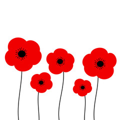 poppies vector illustration isolated on white background