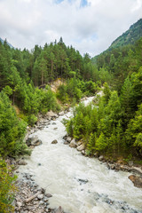 Fototapeta na wymiar Small rough river and pine forest in Greater Caucasus mountains (Prielbrusie national park, Russia).