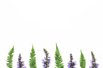 Wildflowers And Fern Leaves Arrangment On White Background