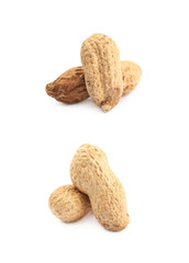 Couple of peanuts isolated