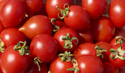 Red tomatoes background. Group of the tomatoes.