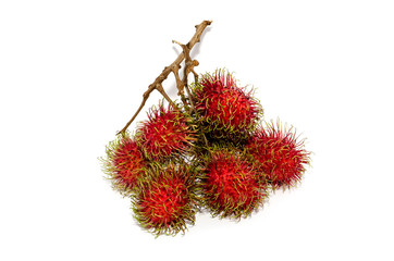 rambutan fruit