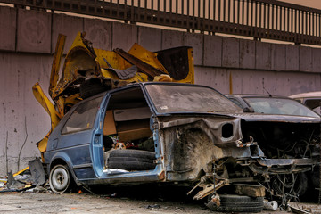 Two dogs found new junkyard home