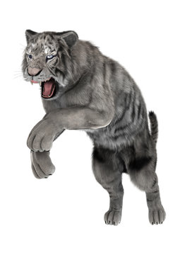 3D Rendering White Tiger on White