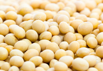 Closeup soybean background, soy bean.