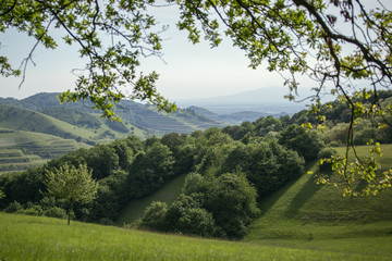 Kaiserstuhl