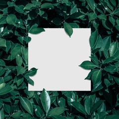 Square frame, Creative layout made of tropical flowers and leaves with paper card note. Flat lay. Blank for advertising card or invitation. Flat lay. Nature concept.