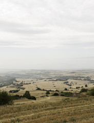 Fototapeta premium Landscape with field