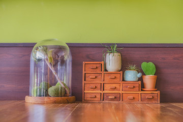 Wood Furniture with small Drawer and Cactus in pot displayed at green wall in coffee shop