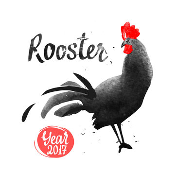Silhouette of the cock. Sketch style. Watercolor illustration with black and white roosters. Brush drawings. Chinese New Year 2017.