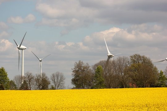 A wind turbine or wind turbine / A wind turbine or wind turbine transforms the wind energy into electrical energy