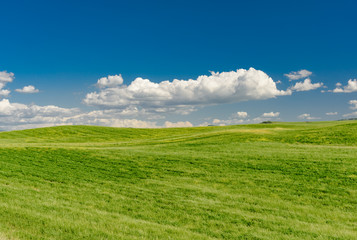 Perfect panorama of green hills with blue sky and fluffy clouds